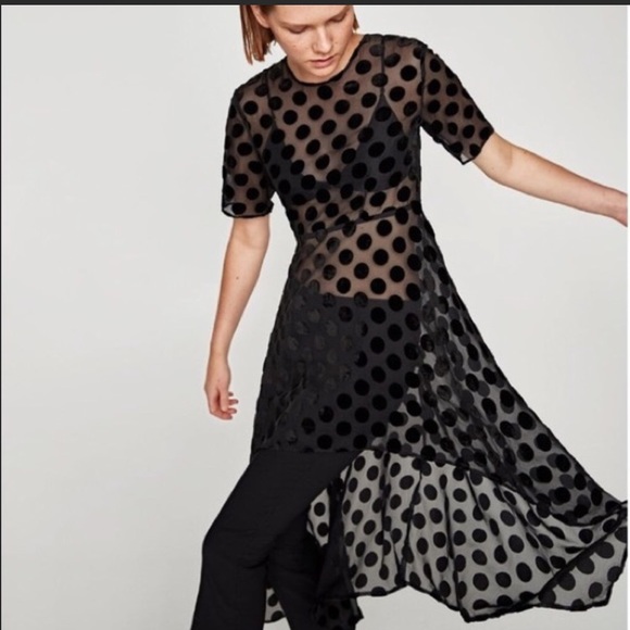 velvet polka dot dress